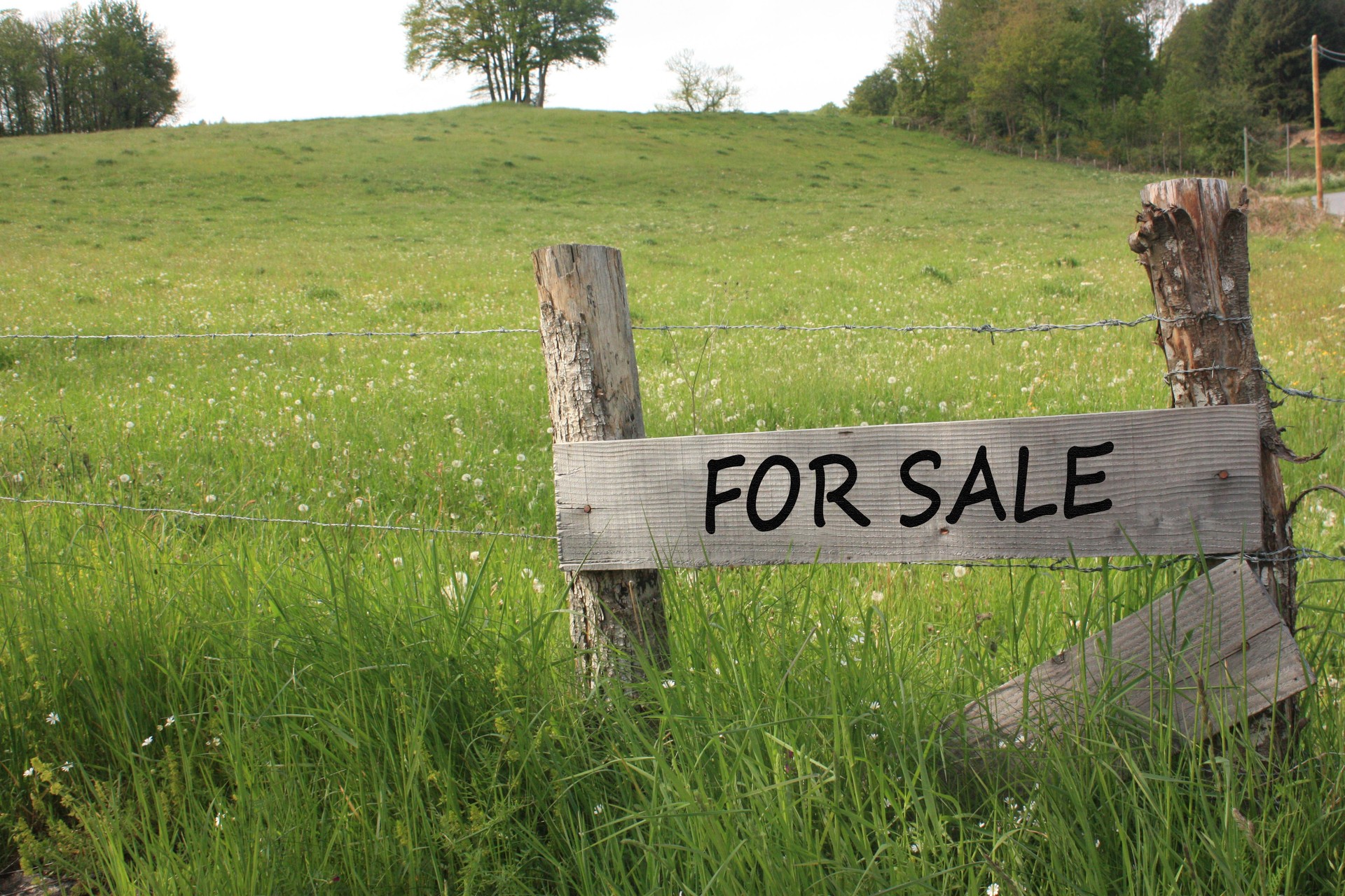 Rural land for sale  Enclosed ground